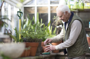 Kā darbojas imunitāte?